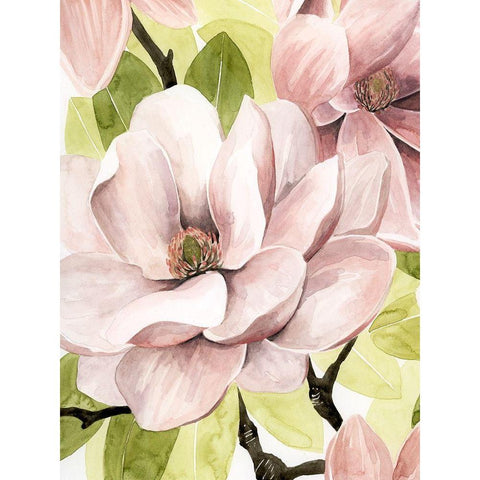 Blush Magnolia II Black Modern Wood Framed Art Print by Popp, Grace