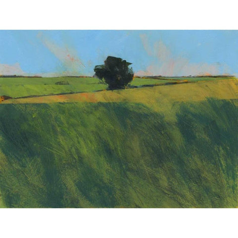 Lone Hedgerow Tree Black Modern Wood Framed Art Print with Double Matting by Bailey, Paul