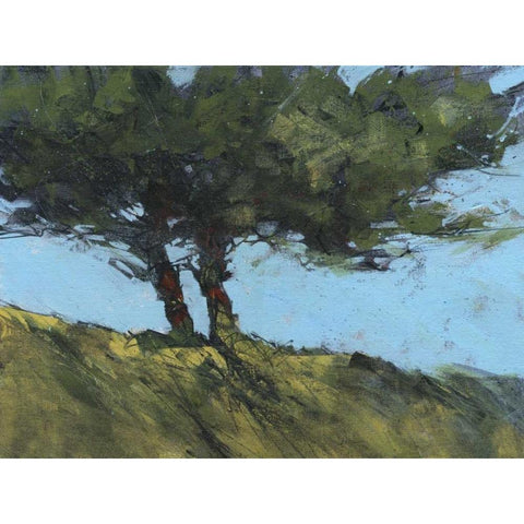 Hawthorne Duo Black Modern Wood Framed Art Print with Double Matting by Bailey, Paul