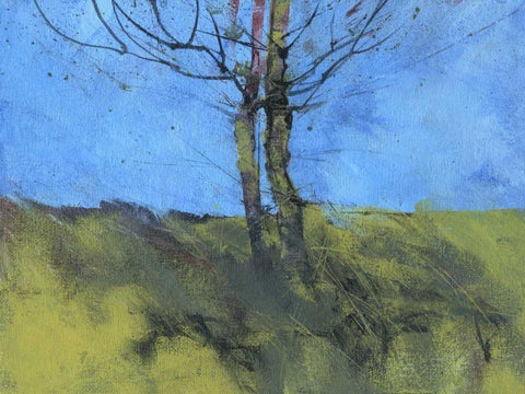 Heathland Tree Study Black Ornate Wood Framed Art Print with Double Matting by Bailey, Paul