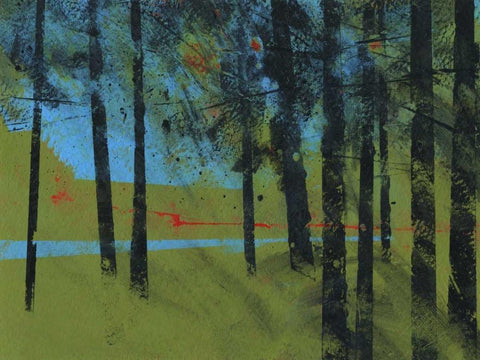 Forest Brook White Modern Wood Framed Art Print with Double Matting by Bailey, Paul