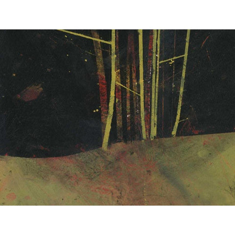 Into the Dark Wood White Modern Wood Framed Art Print by Bailey, Paul
