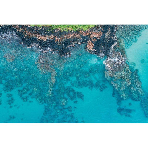 Custom Hawaii View IV Gold Ornate Wood Framed Art Print with Double Matting by Mead, Adam