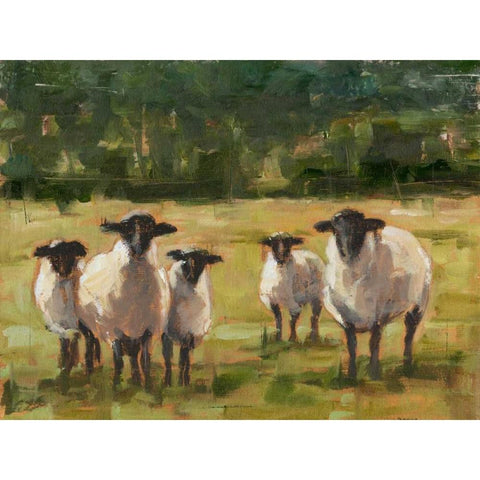 Sheep Family I Black Modern Wood Framed Art Print with Double Matting by Harper, Ethan