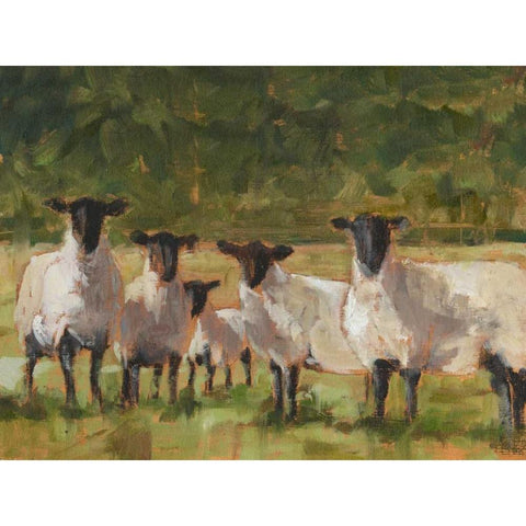 Sheep Family II Gold Ornate Wood Framed Art Print with Double Matting by Harper, Ethan