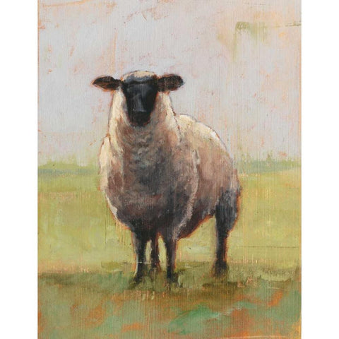 Away from the Flock I White Modern Wood Framed Art Print by Harper, Ethan