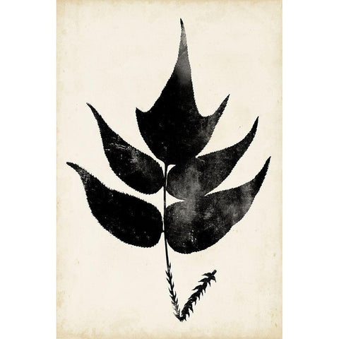 Fern Silhouette IV Black Modern Wood Framed Art Print by Vision Studio