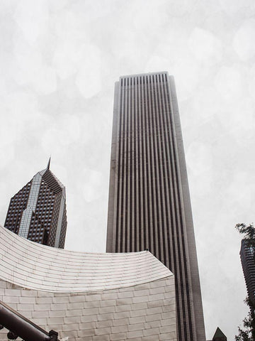 Chicago Monotone II Black Ornate Wood Framed Art Print with Double Matting by Quintero, Sonja