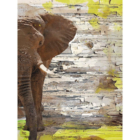 The Elephant I Black Modern Wood Framed Art Print with Double Matting by Orlov, Irena