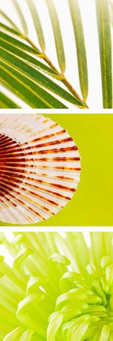 Facets of Spring I White Modern Wood Framed Art Print with Double Matting by Orlov, Irena