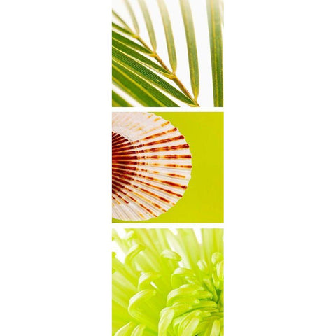 Facets of Spring I White Modern Wood Framed Art Print by Orlov, Irena