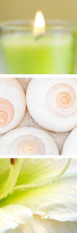 Facets of Spring II Black Ornate Wood Framed Art Print with Double Matting by Orlov, Irena