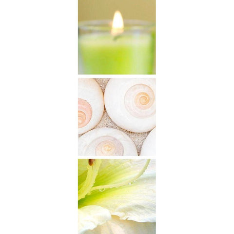 Facets of Spring II Gold Ornate Wood Framed Art Print with Double Matting by Orlov, Irena