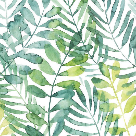 Image Only