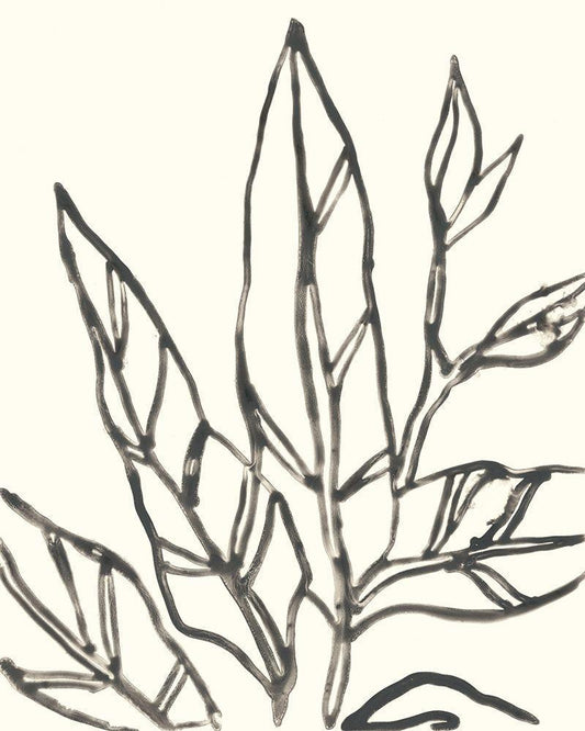 Image Only