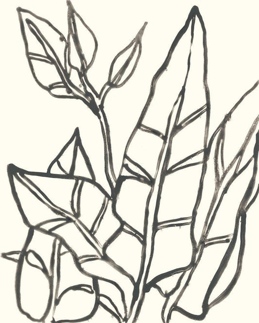 Image Only