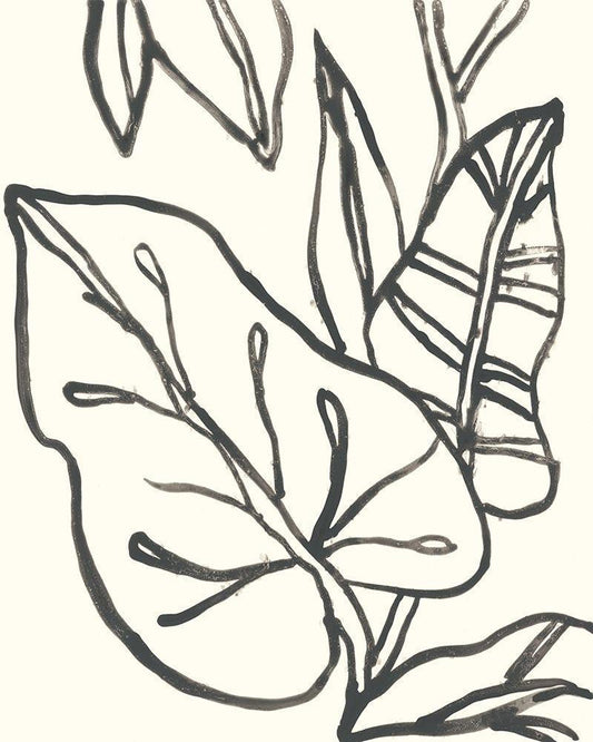 Image Only