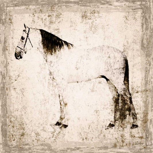 Image Only