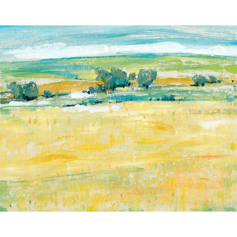 Summer Heat II Black Modern Wood Framed Art Print with Double Matting by OToole, Tim