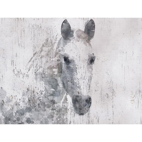 Dapple Horse I White Modern Wood Framed Art Print by Orlov, Irena