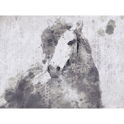 Dapple Horse II Black Modern Wood Framed Art Print with Double Matting by Orlov, Irena