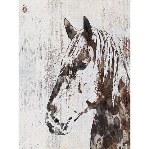 Galaxy Horse III Black Modern Wood Framed Art Print with Double Matting by Orlov, Irena