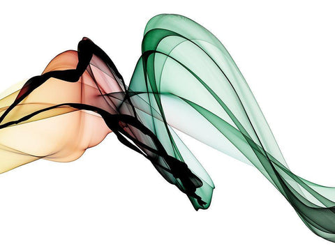 Invisible World I Black Ornate Wood Framed Art Print with Double Matting by Orlov, Irena