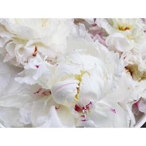 Breathless VI White Modern Wood Framed Art Print by Orlov, Irena