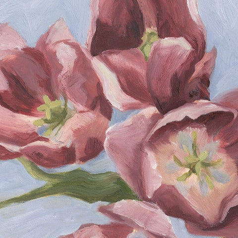 Mauve Tulips II White Modern Wood Framed Art Print with Double Matting by Scarvey, Emma