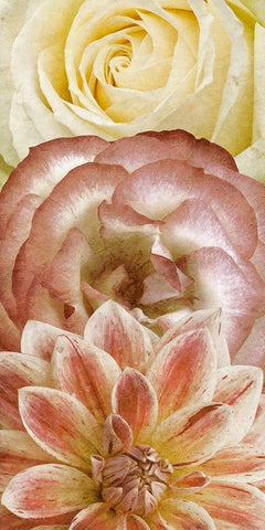 Beautiful Triad I White Modern Wood Framed Art Print with Double Matting by Saunders, Alonzo