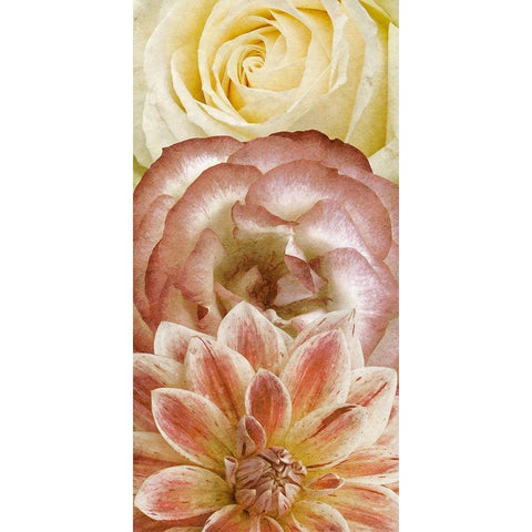 Beautiful Triad I White Modern Wood Framed Art Print by Saunders, Alonzo