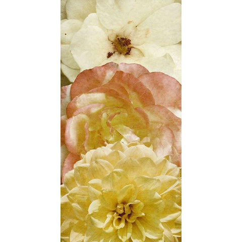 Beautiful Triad II White Modern Wood Framed Art Print by Saunders, Alonzo