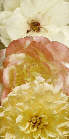 Beautiful Triad II White Modern Wood Framed Art Print with Double Matting by Saunders, Alonzo