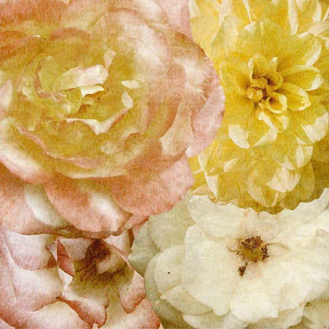 Beautiful Quartet I White Modern Wood Framed Art Print by Saunders, Alonzo