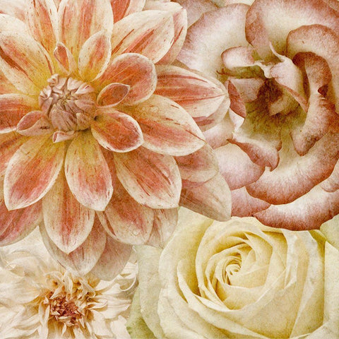 Beautiful Quartet II Black Ornate Wood Framed Art Print with Double Matting by Saunders, Alonzo