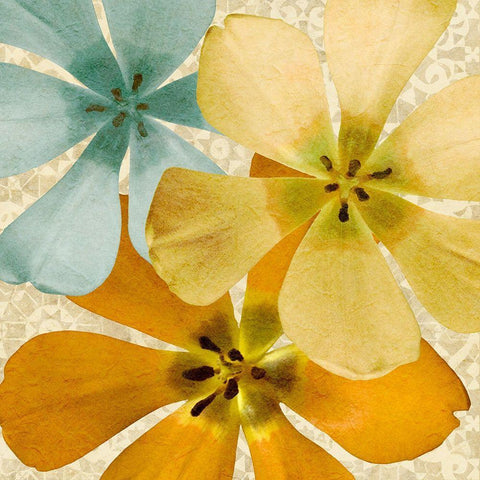 Springtime Glow I White Modern Wood Framed Art Print with Double Matting by Saunders, Alonzo