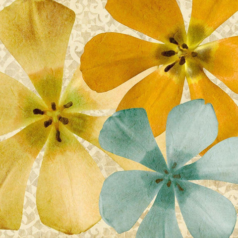 Springtime Glow II Gold Ornate Wood Framed Art Print with Double Matting by Saunders, Alonzo