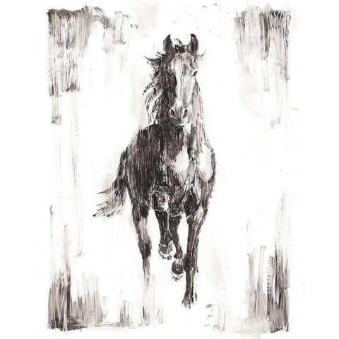 Rustic Black Stallion I Gold Ornate Wood Framed Art Print with Double Matting by Harper, Ethan