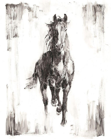 Rustic Black Stallion I White Modern Wood Framed Art Print with Double Matting by Harper, Ethan