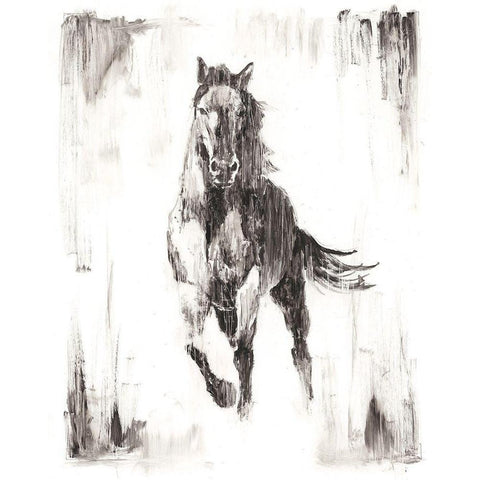 Rustic Black Stallion II Black Modern Wood Framed Art Print with Double Matting by Harper, Ethan