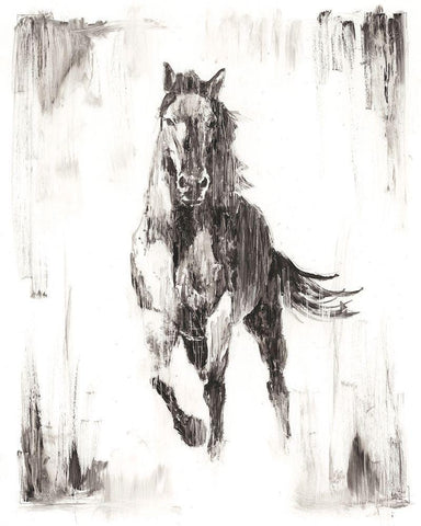 Rustic Black Stallion II White Modern Wood Framed Art Print with Double Matting by Harper, Ethan