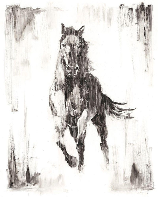 Image Only