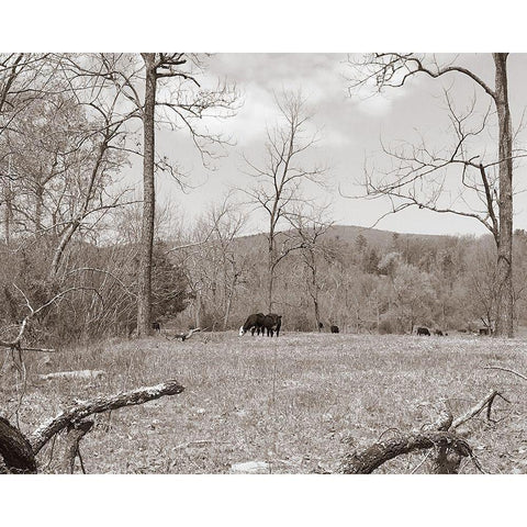 Sepia Farm Study II Gold Ornate Wood Framed Art Print with Double Matting by Ludwig, Alicia