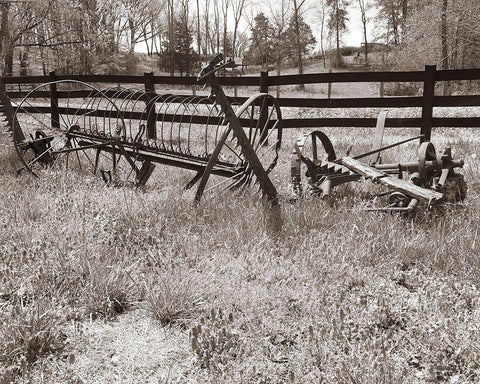 Sepia Farm Study IV Black Ornate Wood Framed Art Print with Double Matting by Ludwig, Alicia