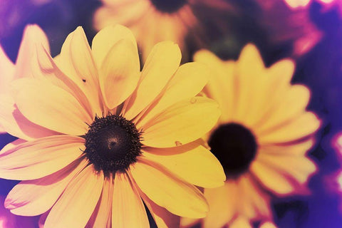 Susans III White Modern Wood Framed Art Print with Double Matting by Johnson, Jason