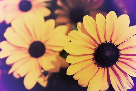 Susans IV White Modern Wood Framed Art Print with Double Matting by Johnson, Jason