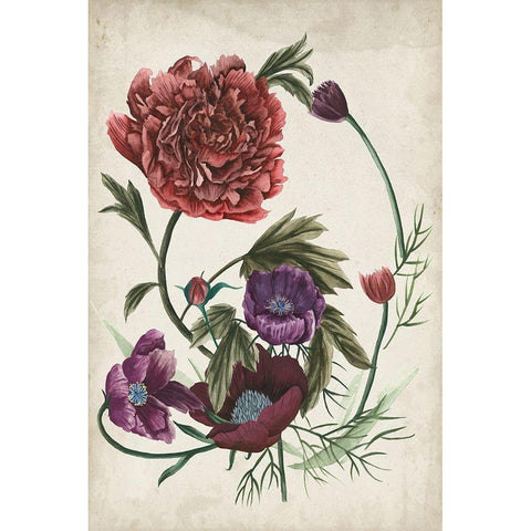 Antique Peony I White Modern Wood Framed Art Print by Wang, Melissa