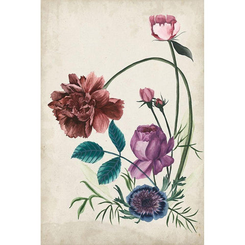 Antique Peony II Black Modern Wood Framed Art Print with Double Matting by Wang, Melissa