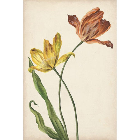 Two Tulips I Gold Ornate Wood Framed Art Print with Double Matting by Wang, Melissa