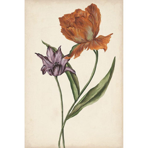 Two Tulips II White Modern Wood Framed Art Print by Wang, Melissa